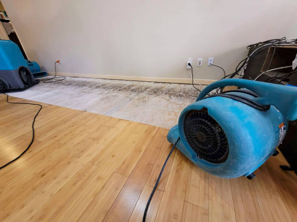 Professional Sewage Cleanup technician working in Belleville, NJ